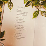 book page book page